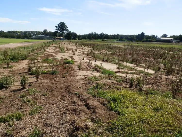 Sixth view of Homely land listing, 141-142 Freemans Reach Road, Freemans Reach NSW 2756