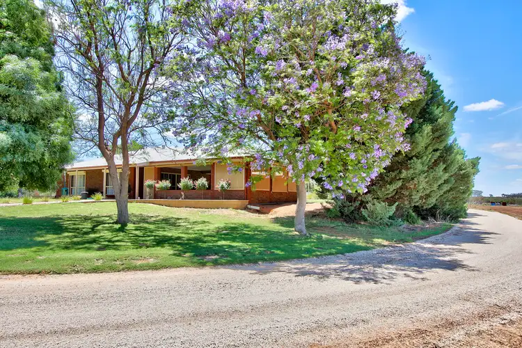 446 Anderson Road, Loxton SA 5333