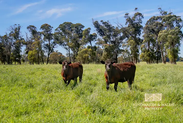 Main view of Homely rural property listing, Lot 318 Illawarra Hwy, Moss Vale NSW 2577