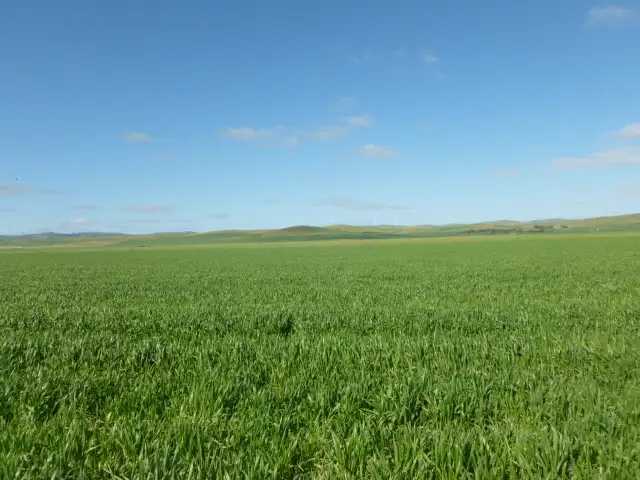 Fourth view of Homely rural property listing, - 'Heathermoore', Spalding SA 5454