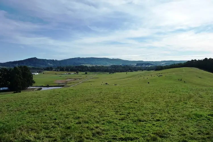 Seventh view of Homely rural property listing, 265 Tarleton Road, Tarleton, Spreyton TAS 7310