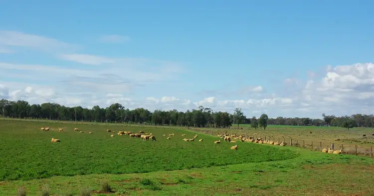 Second view of Homely rural property listing, 372 Kurrajong Road, Binnaway NSW 2395