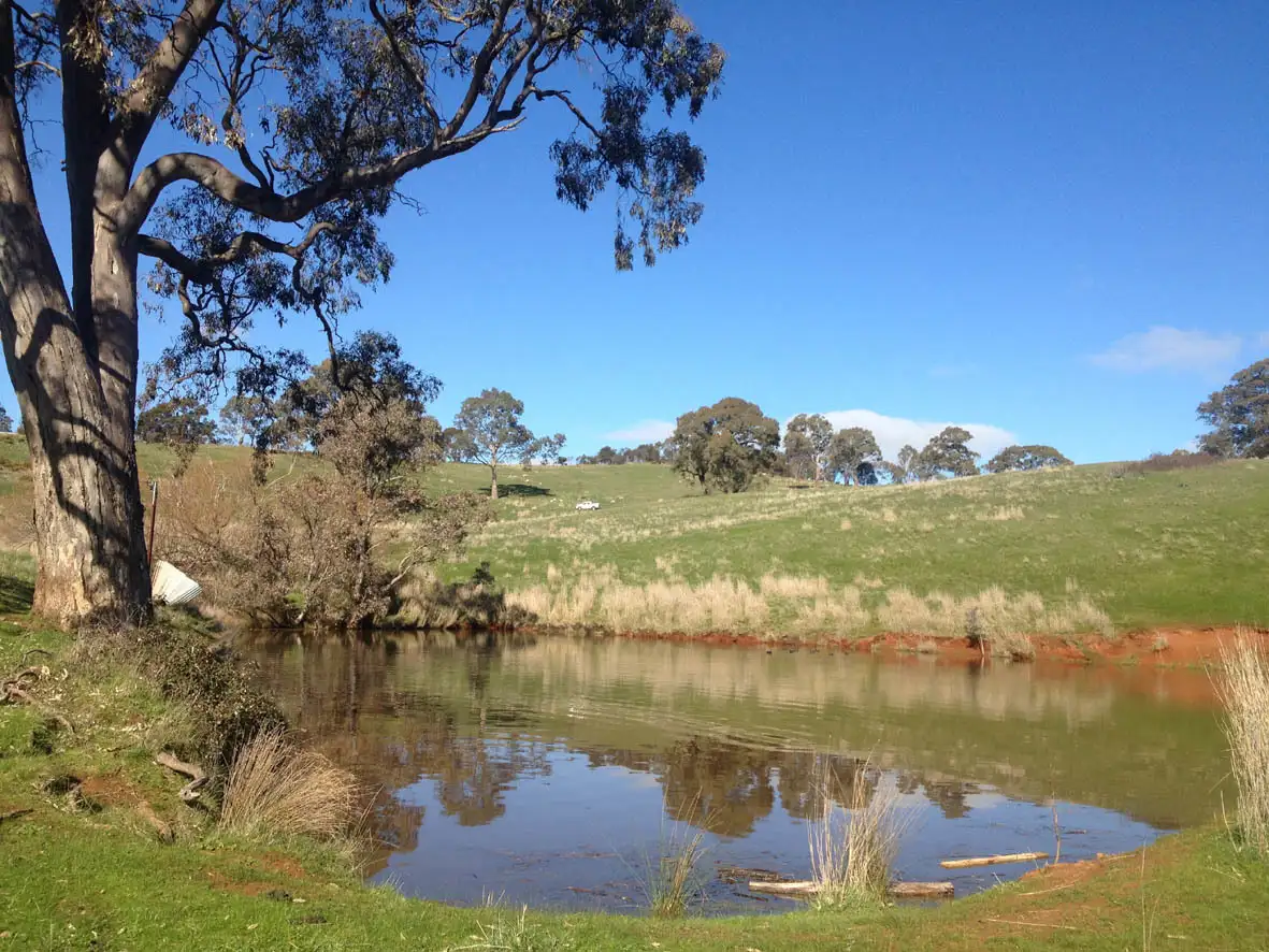 Main view of Homely land listing, Lot 1 Norsworthy Road / Hill Road, Kersbrook SA 5231