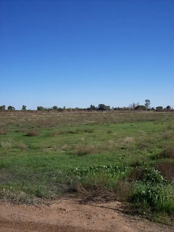 Fifth view of Homely land listing, Farm 1633-904 Corner of Thorne Road, Griffith NSW 2680