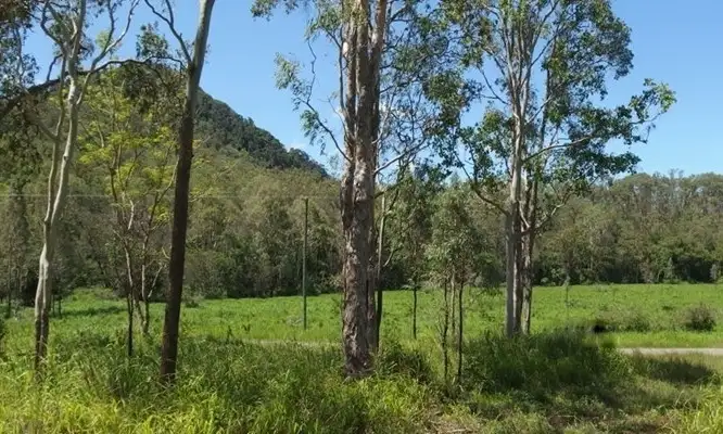 Third view of Homely land listing, 14 (113) Running Creek Road, Sunnyside QLD 4737