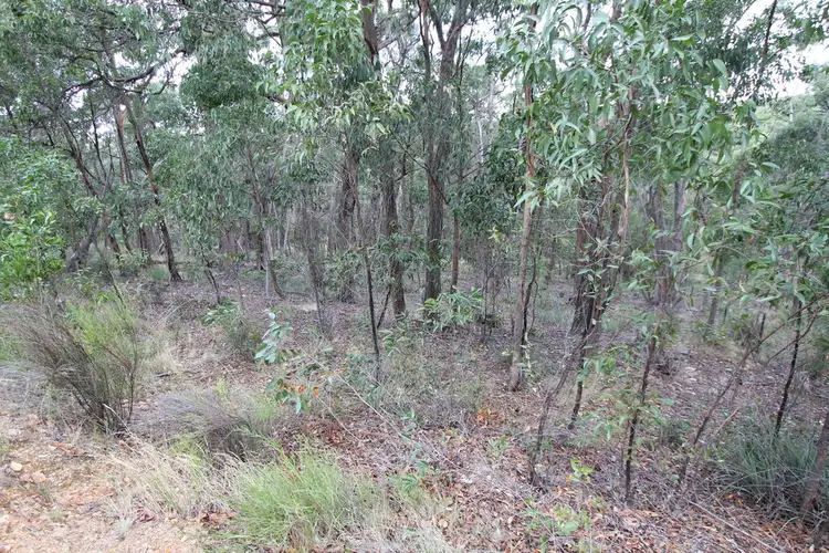 Main view of Homely land listing, Lot 12 Moppianimum Road, Scarsdale VIC 3351