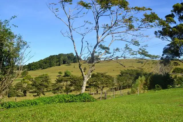 Seventh view of Homely rural property listing, Address available on request