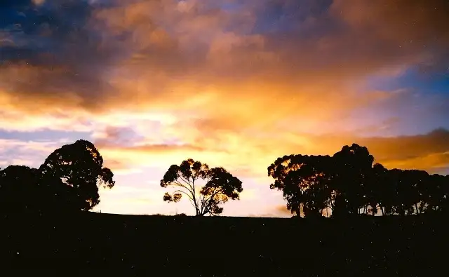 Sixth view of Homely rural property listing, 957 Talbot Road, York WA 6302