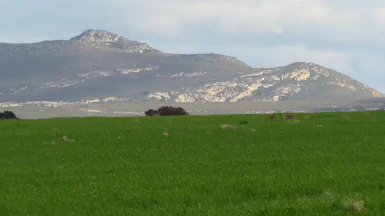 Seventh view of Homely rural property listing, Address available on request