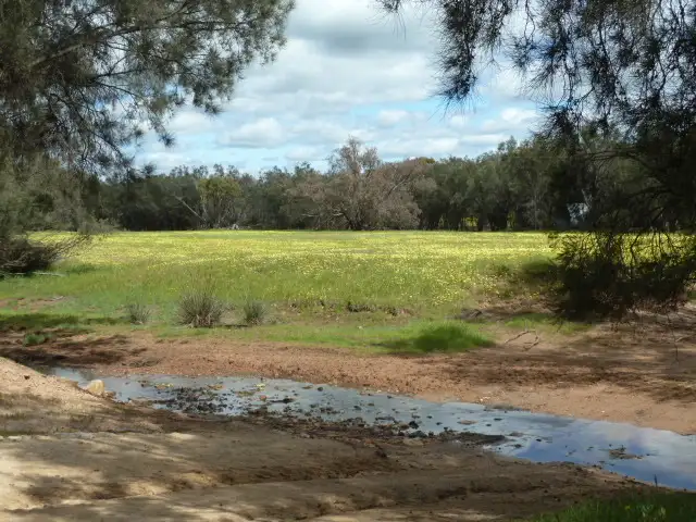 Sixth view of Homely rural property listing, 'Marley' 5267 Quairading - York Road, Mount Hardey WA 6302