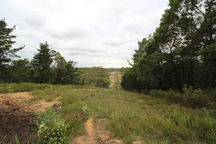 Fifth view of Homely land listing, 482 Oallen Road, Nerriga NSW 2622