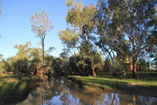 Fifth view of Homely rural property listing, 1942 SEVENTEEN MILE LANE, Roma QLD 4455