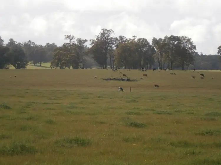Fifth view of Homely rural property listing, 4508 Donnybrook Boyup Brook Rd, Noggerup WA 6225