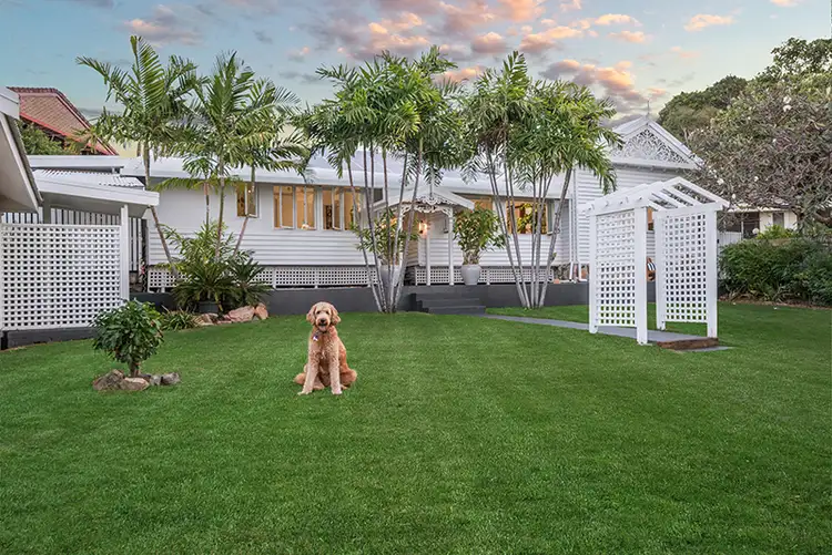 78 Primrose Street, Belgian Gardens QLD 4810