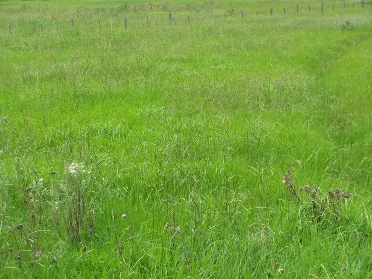 Fifth view of Homely land listing, Address available on request