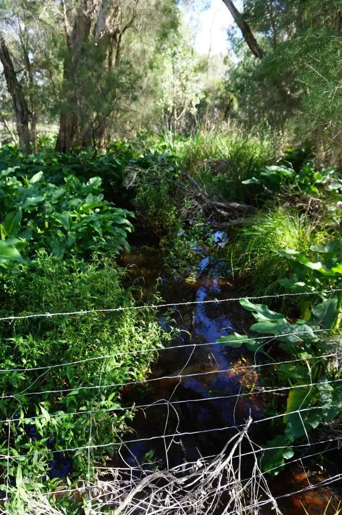 Third view of Homely land listing, 2851 (Lot 124) Brand Highway, Gingin WA 6503