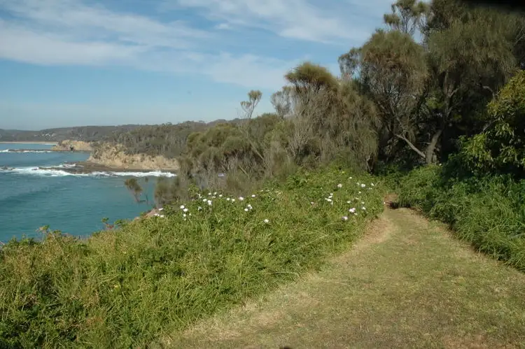 Fifth view of Homely house listing, 60 Illabunda Drive, Malua Bay NSW 2536