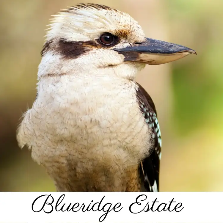 Seventh view of Homely land listing, Lot 24 Scarp road, Keysbrook WA 6126