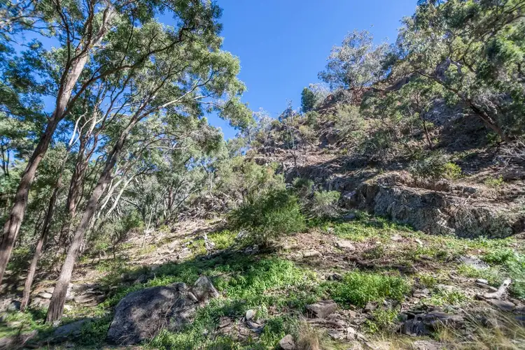 Fifth view of Homely rural property listing, Lot 52 Highland Home Road, Mudgee NSW 2850