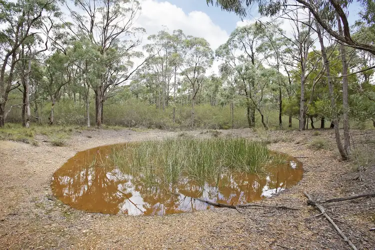 Fifth view of Homely land listing, 220 Charlies Point Road, Bargo NSW 2574