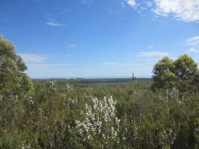 Fifth view of Homely land listing, 0 Henty Road, Zeehan TAS 7469