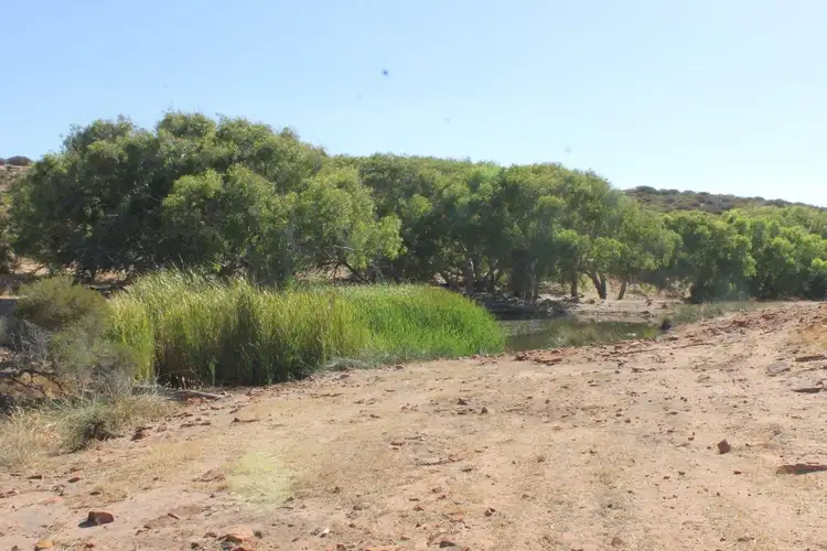 Fifth view of Homely rural property listing, Lot 25 Willigulli Road, Sandy Gully WA 6535