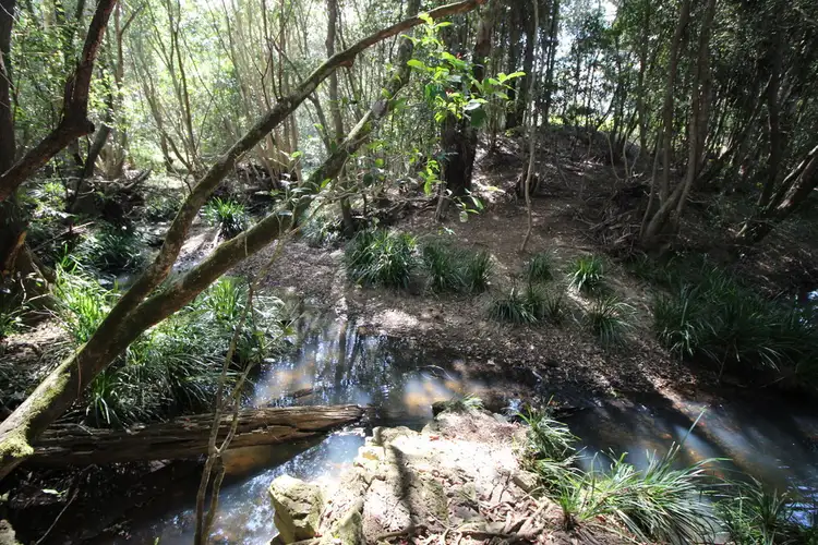 Sixth view of Homely rural property listing, 449 Bril Bril Road, Rollands Plains NSW 2441