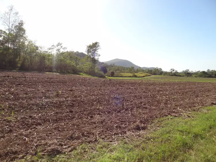 Sixth view of Homely land listing, 571 Devereux Creek Road, Devereux Creek QLD 4753