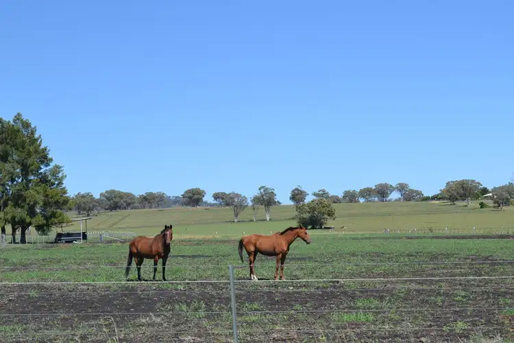 Second view of Homely land listing, 81 Brosnans Lane, Inverell NSW 2360