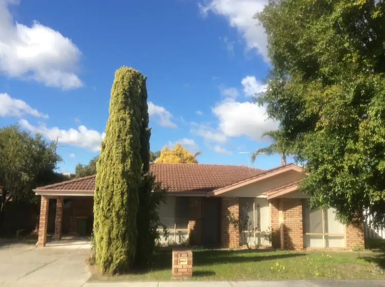 Main view of Homely house listing, 17 Bruning Road, Manning WA 6152