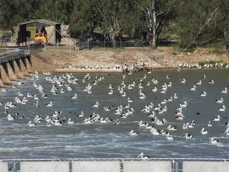 Fourth view of Homely land listing, Lot 92 Page Drive, Blanchetown SA 5357