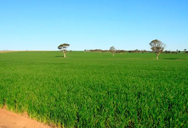 Third view of Homely rural property listing, Lot 5673 Hammonds Hill Road, Quairading WA 6383