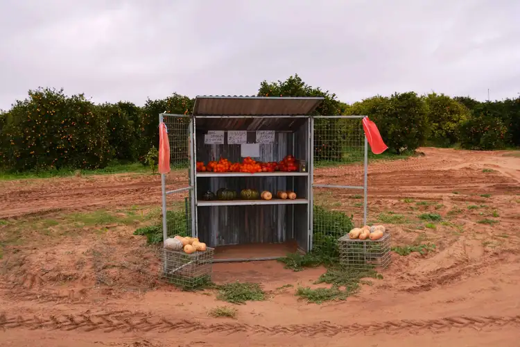 Second view of Homely rural property listing, 8609 Murray Valley Highway, Boundary Bend VIC 3599