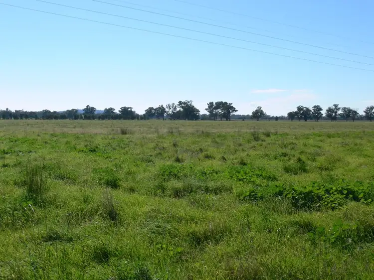 228 Cannons Rd, Gooloogong, Cowra NSW 2794