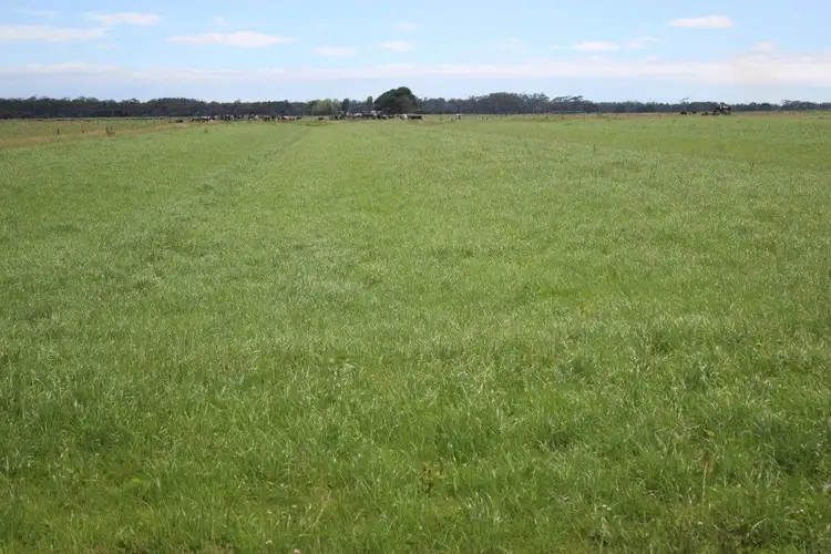 Fourth view of Homely rural property listing, 315 Partridge Road, Togari TAS 7330