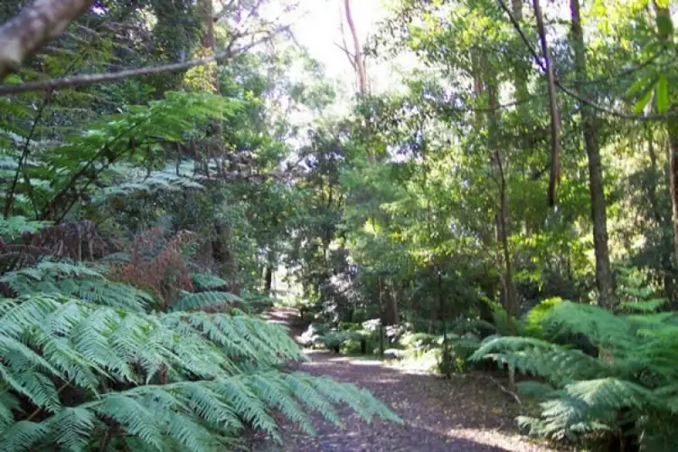 Seventh view of Homely land listing, 946 Jamberoo Mountain Road, Jamberoo NSW 2533