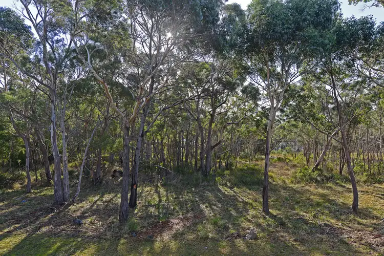 Second view of Homely unit listing, 3/4 Onslow Place, Mount Nelson TAS 7007