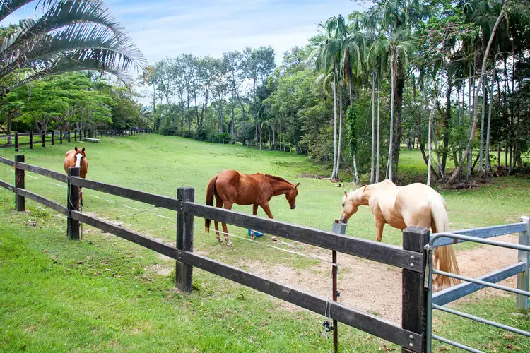 44 Eudlo Flats Road, Kiels Mountain QLD 4559