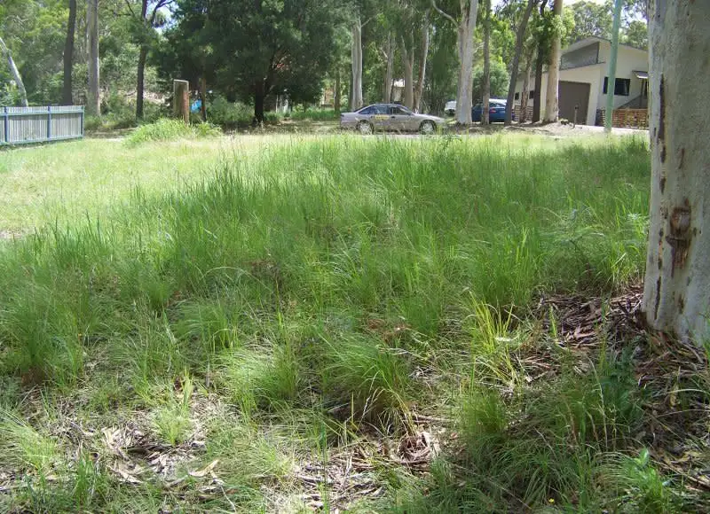 Main view of Homely land listing, 8 Panaroo Street, Macleay Island QLD 4184