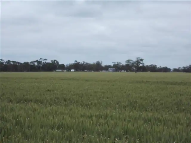 Fifth view of Homely rural property listing, 147 Pier Point Road, Wolseley SA 5269