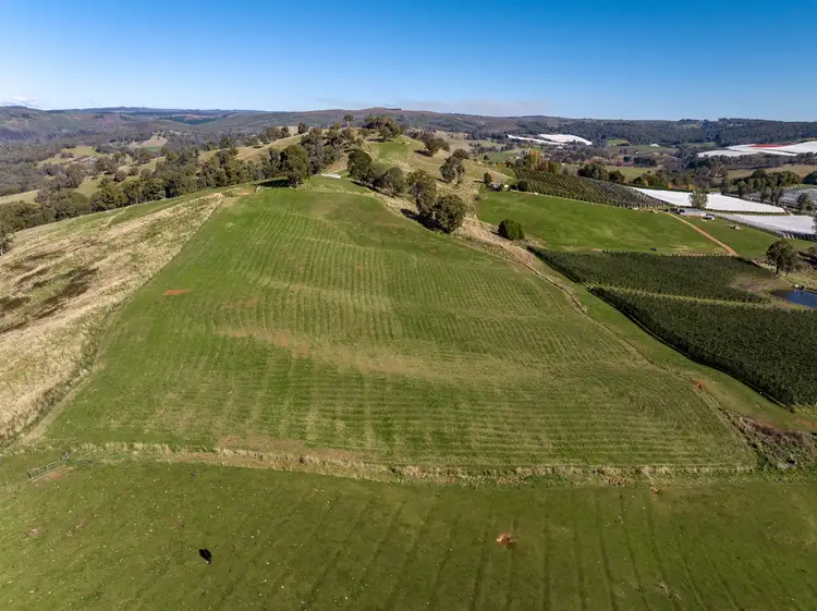 Main view of Homely rural property listing, 'Gilmore Braes' 1 Forsters Road, Batlow NSW 2730