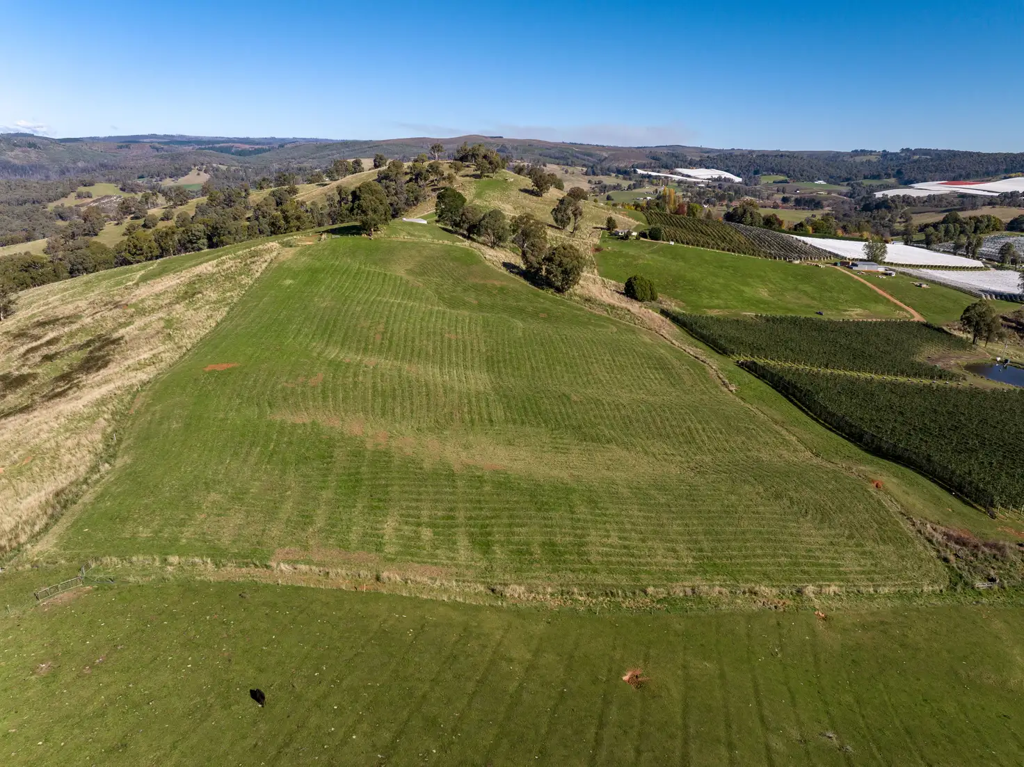 Main view of Homely rural property listing, 'Gilmore Braes' 1 Forsters Road, Batlow NSW 2730