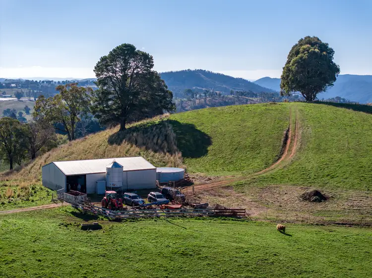 Seventh view of Homely rural property listing, 'Gilmore Braes' 1 Forsters Road, Batlow NSW 2730