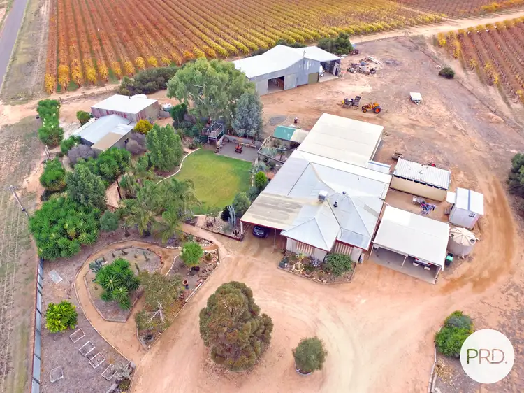 Main view of Homely house listing, 115 Sandilong Avenue Extension, Irymple VIC 3498