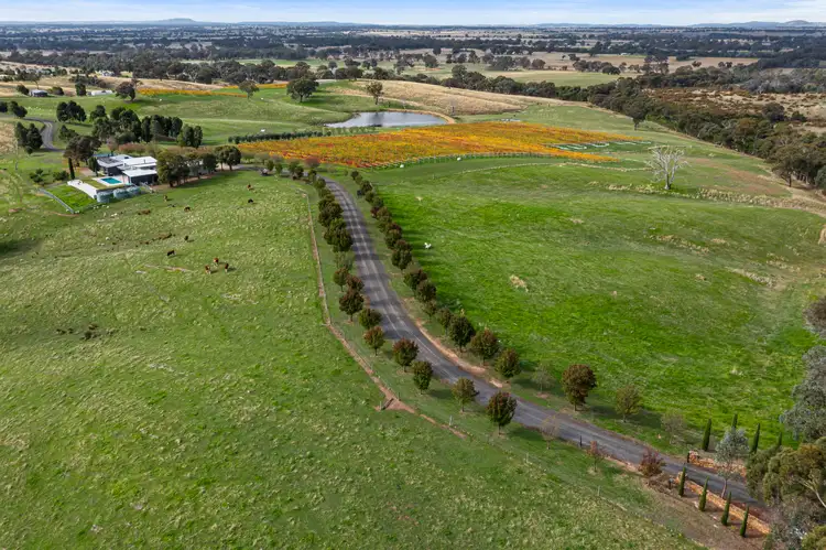 Fourth view of Homely rural property listing, 843 Metcalfe-Redesdale Road, Redesdale VIC 3444