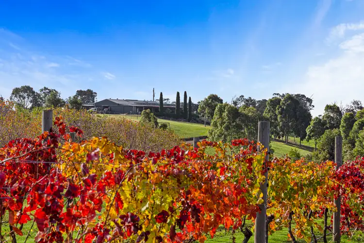 Seventh view of Homely rural property listing, 843 Metcalfe-Redesdale Road, Redesdale VIC 3444