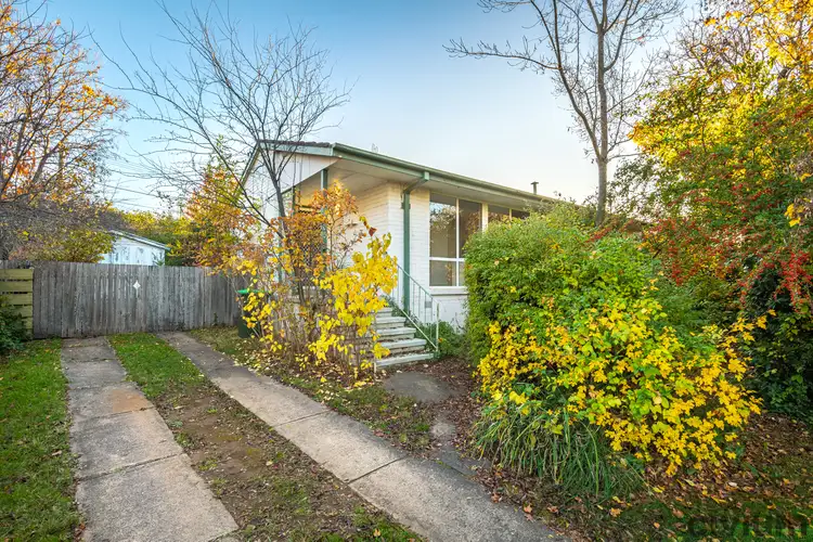 Main view of Homely semi-detached listing, 19 Macalister Crescent, Curtin ACT 2605