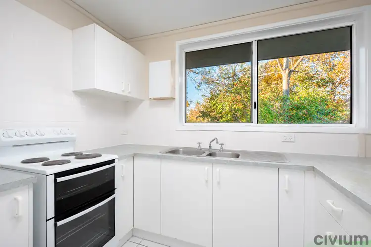 Second view of Homely semi-detached listing, 19 Macalister Crescent, Curtin ACT 2605