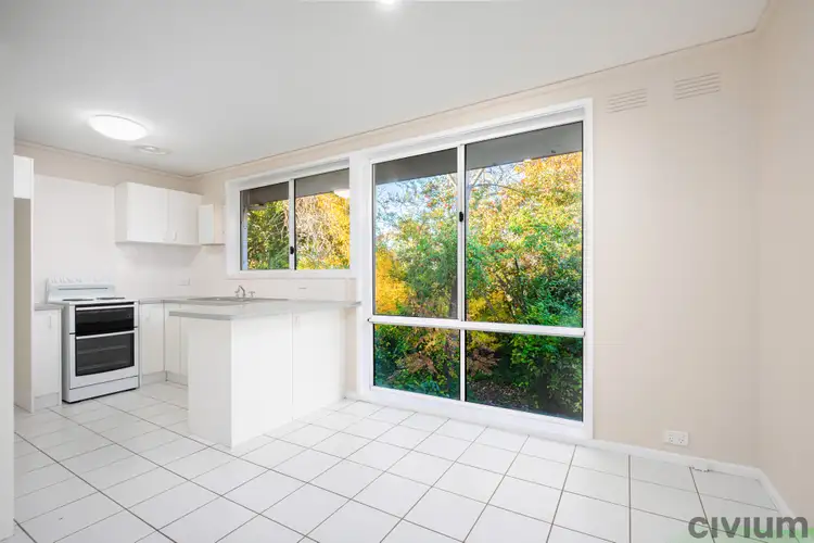 Third view of Homely semi-detached listing, 19 Macalister Crescent, Curtin ACT 2605