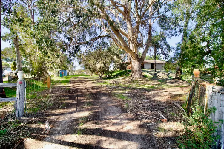 101 Tinson Road, Baldivis WA 6171